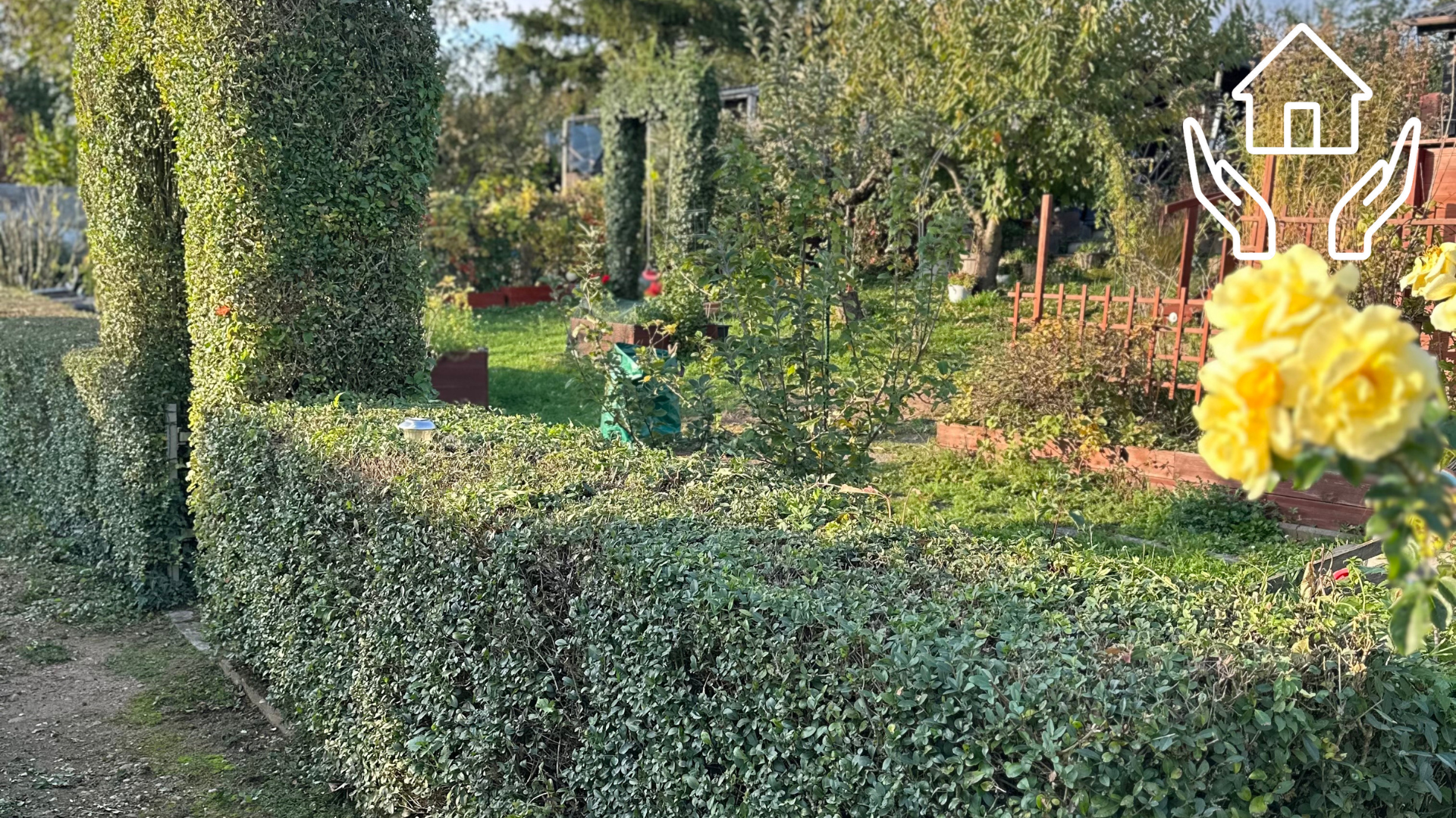 Gartenpflege in Frankfurt – Warum sie wichtig ist, wann sie nötig ist & wie oft sie durchgeführt werden sollte